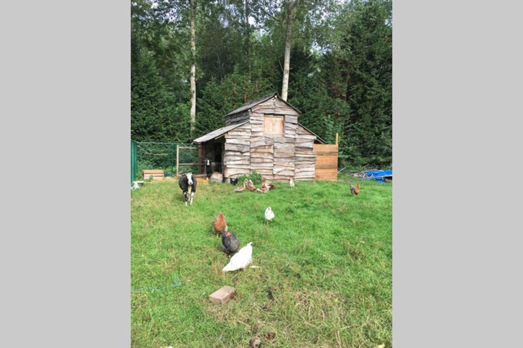 Апартаменты Cozy Studio On A Quaint Farm Kruibeke Экстерьер фото